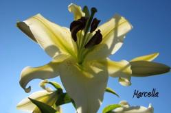 FotografieNatura_0003